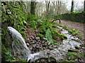 NY3603 : Wall, water and moss by Dave Croker