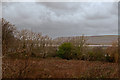 SS4538 : Looking across fields in Fremington towards Saunton on the 25th December 2012 at 12.00 by Roger A Smith