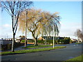 Capstan Road from Sextant Road, Hull