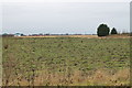 TF2342 : Fields off Creaseyplot Lane by J.Hannan-Briggs