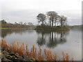 The Western End of the Loch in the James Hamilton Heritage Park