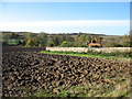 Fields at Lowick