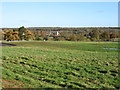 Fields near Sudborough