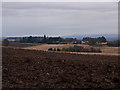 Farmland at Kildinny