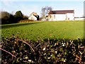 Magheramesk Townland