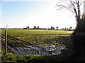 A muddy field entrance, Magheramesk