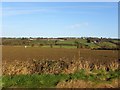 Lisnabilla Townland