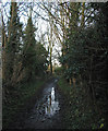 Hadstock: a muddy footpath