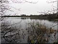 Lurgan Lake, Lurgan Park