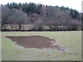 Waterlogged field near Ballsgate Common