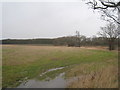 View towards Brick Kiln Plantation