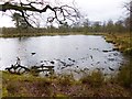 Dunham Massey, Smithy Pool