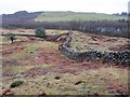 Walls above Pipercroft Loch