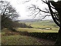 Fields near Blackhall Farm