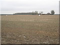 View towards Bleasby Field