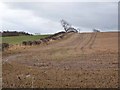 NY8876 : Field of stubble near Dinley Hill by Oliver Dixon