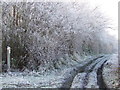 Frosty Footpaths