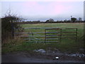 Public footpath, Collins Lane, Purton