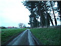 The Lane from Keddington Grange and Farm