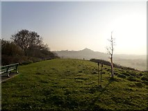 ST4938 : Wearyall Hill, Glastonbury by Rude Health 