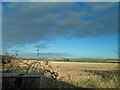 View over Otby Moor from Moor Road