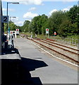 Walking across Llandeilo railway station level crossing