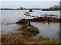 Flooded Leigh Brook, 1