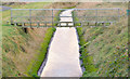 Stream, Knockbracken reservoir, Carryduff