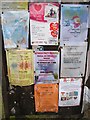 Noticeboard, Aymestrey