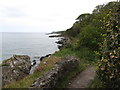 J4381 : View eastwards along the North Down Coastal Path  by Eric Jones