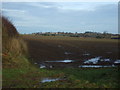 Farmland, Little Beech Hill