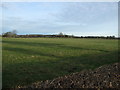 Farmland, Sydal Lodge