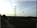 Farmland and pylons