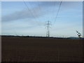 Farmland, Low Worsall Moor