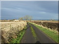 Minor road towards Winterfield Farm