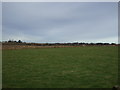 Farmland, Highfield