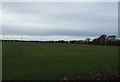 Sportsfield, Yarm