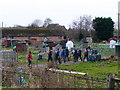 Allotments near Haydon Mill Farm