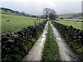 Nidderdale Way just South of Covill Houses Farm