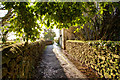 Alleyway on the path between Lacock and Reybridge