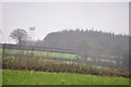 Mid Devon : Countryside & Weather Radar