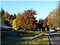 Near the Ross, Comrie