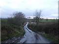 Banks Road towards Brompton