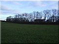 Farmland, Baulk Bridge Farm