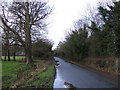 Road heading west into East Rounton