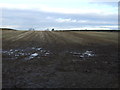 Farmland, Willow Tree Farm