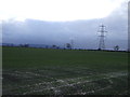 Farmland off Haggit Hill Lane