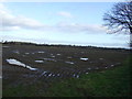 Farmland off Back Lane