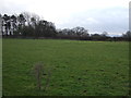 Farmland, Five Houses