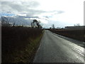 Minor road towards Hutton Rudby